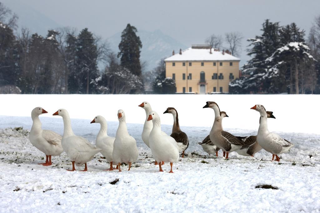 Agriturismo Il Torrione Pinerolo Exteriér fotografie
